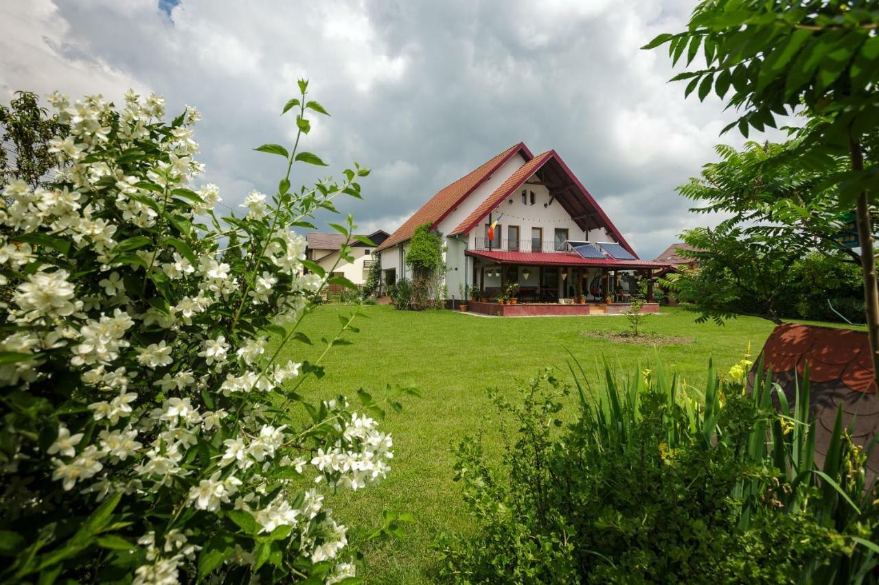 Casa Florilor Otel Curtea de Argeş Dış mekan fotoğraf