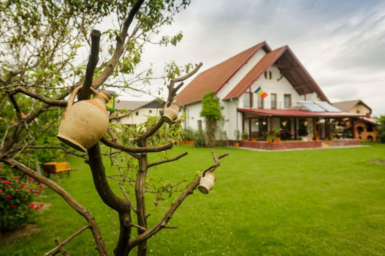 Casa Florilor Otel Curtea de Argeş Dış mekan fotoğraf