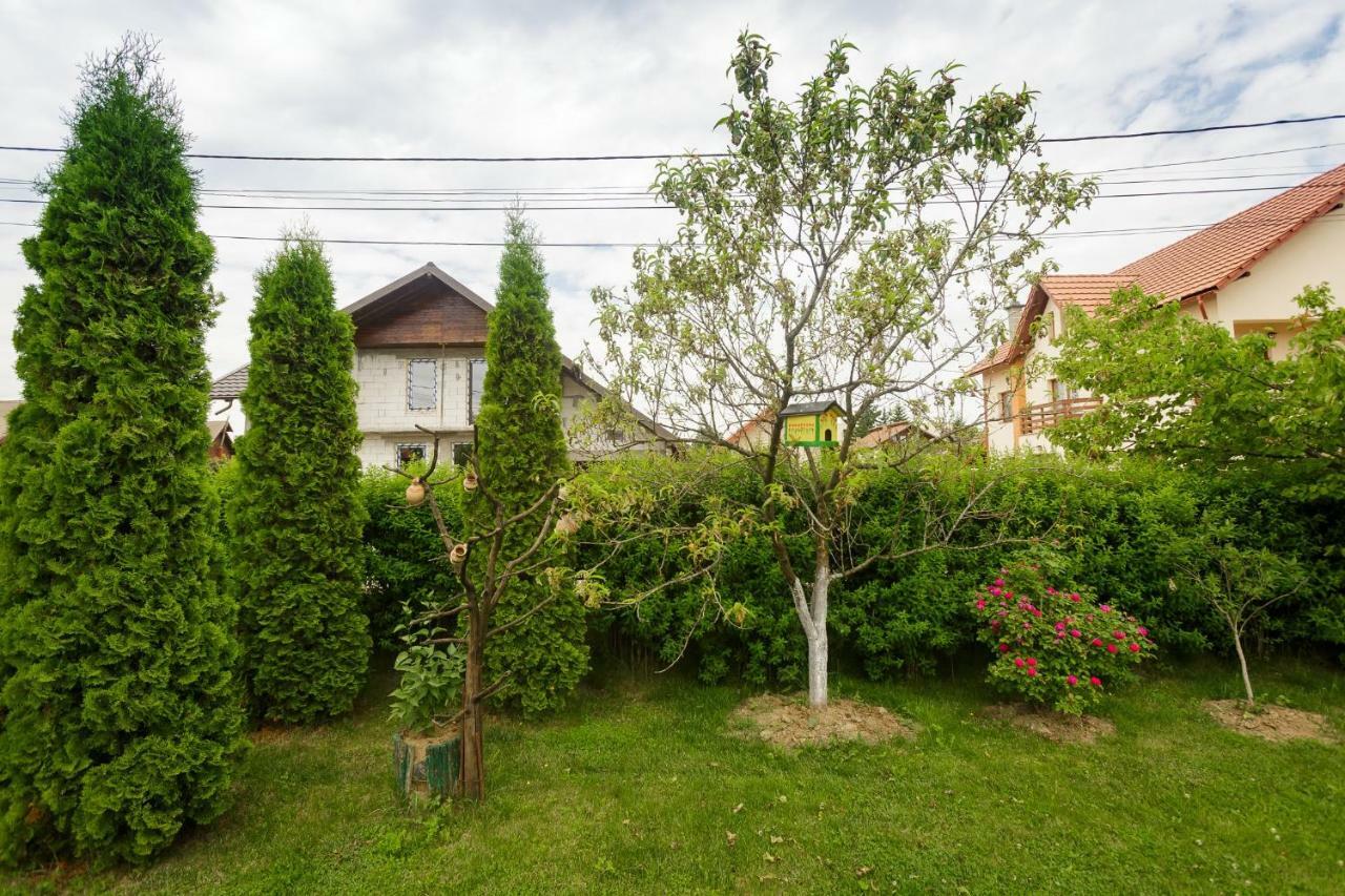 Casa Florilor Otel Curtea de Argeş Dış mekan fotoğraf